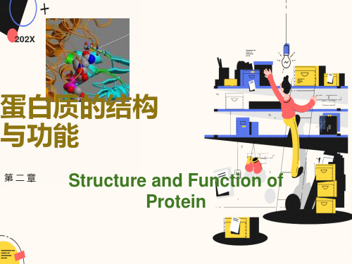 生物化学教案