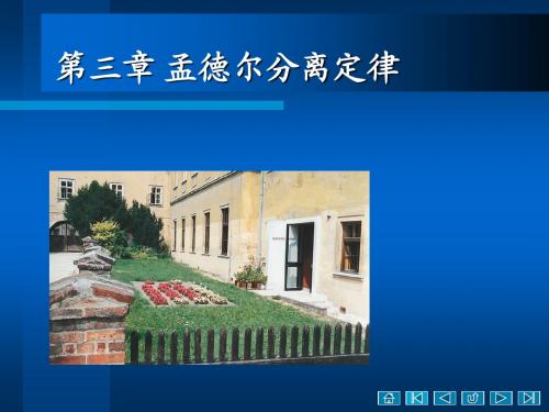第三章+分离定律