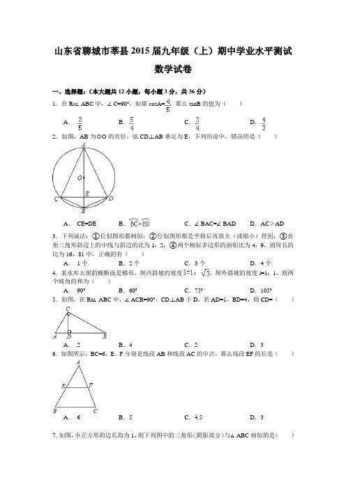 山东省聊城市莘县2015届九年级上学期期中学业水平测试数学试题(WORD版)