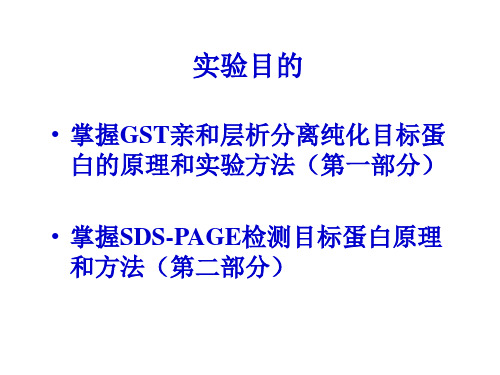 实验八亲和层析分离纯化蛋白质