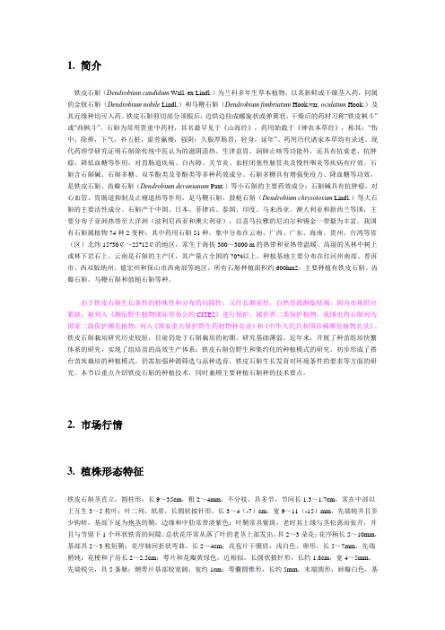 铁皮石斛Microsoft Word 文档