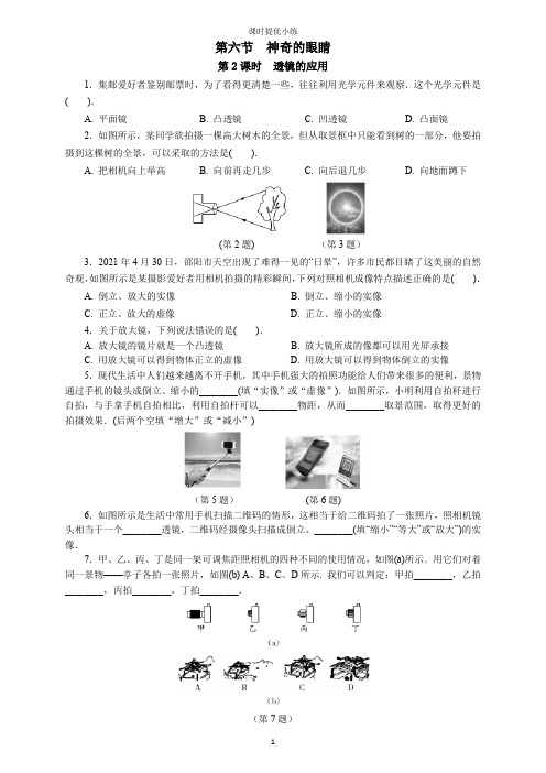 第六节  神奇的眼睛  第2课时 透镜的应用
