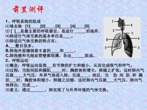 济南版生物七年级下册第三单元第三章 人体内的物质运输第一节 物质运输的载体复习课件(47张ppt)