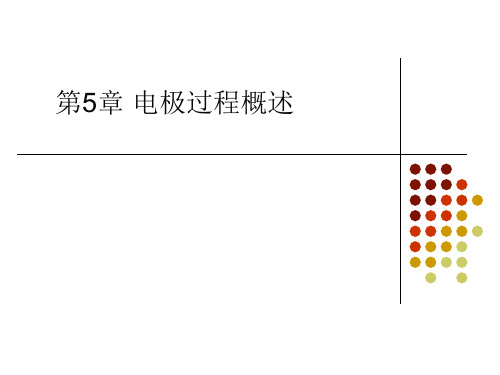 电化学理论与方法 第五章 电极过程概述