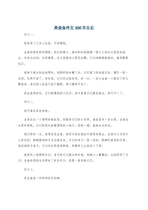 养金鱼作文300字左右