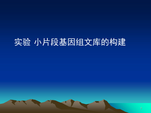 小片段基因组文库的构建PPT演示文稿