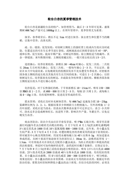 轮台白杏的夏季管理技术