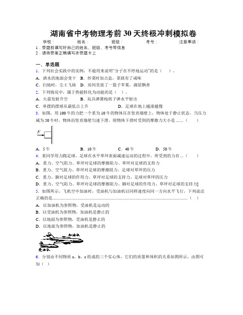 精编湖南省中考物理考前30天终极冲刺模拟卷附解析