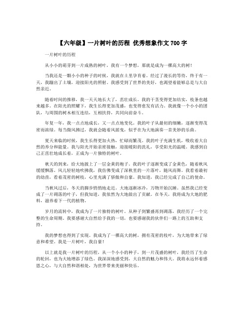 【六年级】一片树叶的历程 优秀想象作文700字