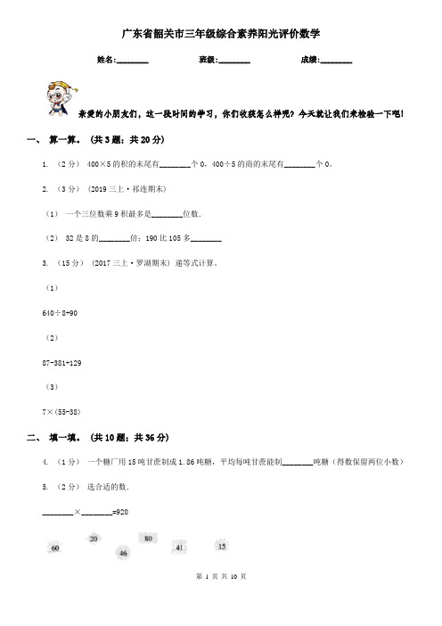 广东省韶关市三年级综合素养阳光评价数学