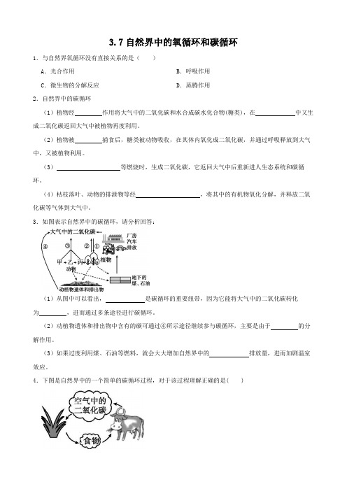 3-7自然界中的氧循环和碳循环-八年级科学下(浙教版)