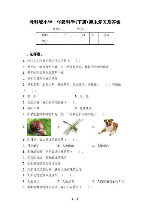 教科版小学一年级科学(下册)期末复习及答案