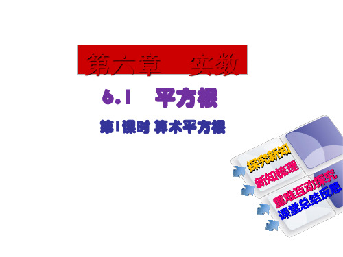 人教版七年级下数学第6章实数6.1平方根算术平方根课件(2)