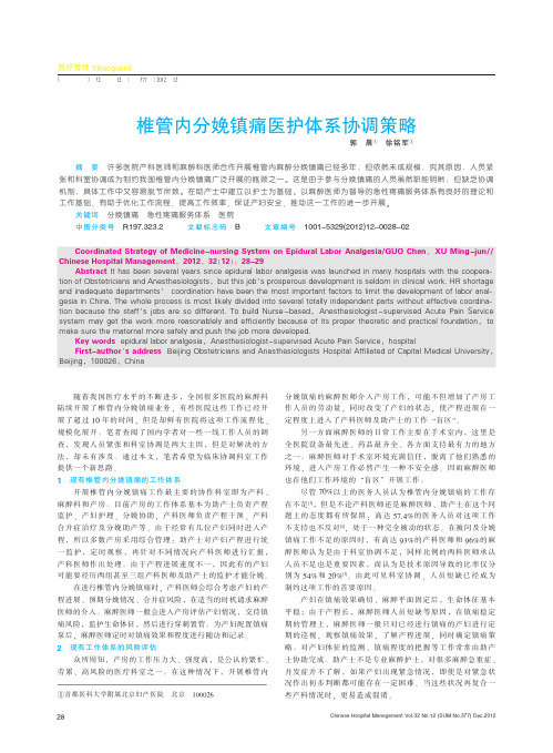 椎管内分娩镇痛医护体系协调策略