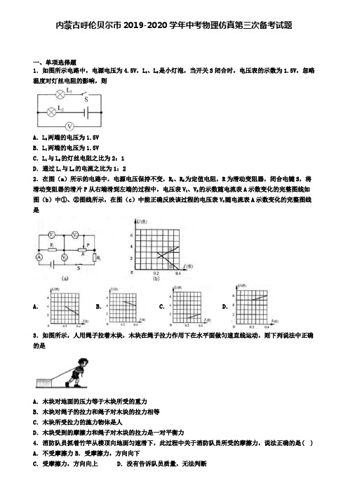 内蒙古呼伦贝尔市2019-2020学年中考物理仿真第三次备考试题