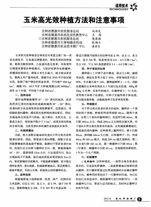 玉米高光效种植方法和注意事项