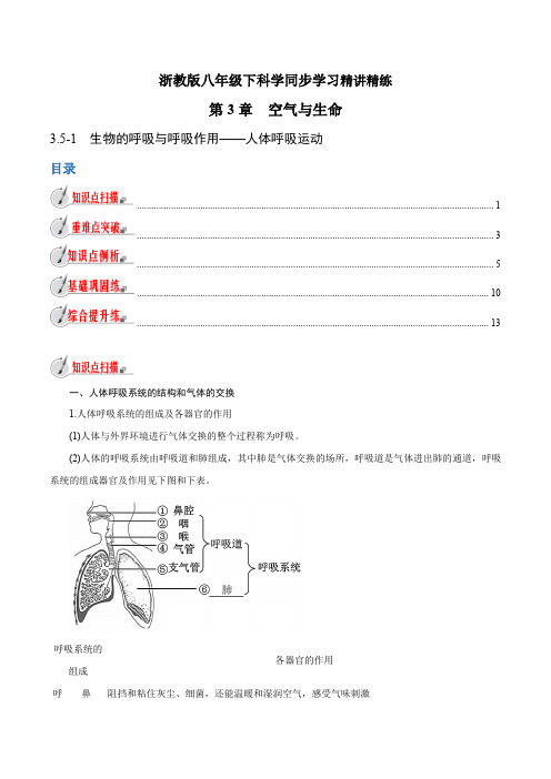 浙江中考初中科学同步8年级下册 3.5.1 生物的呼吸与呼吸作用——人体呼吸运动(教师版含解析)