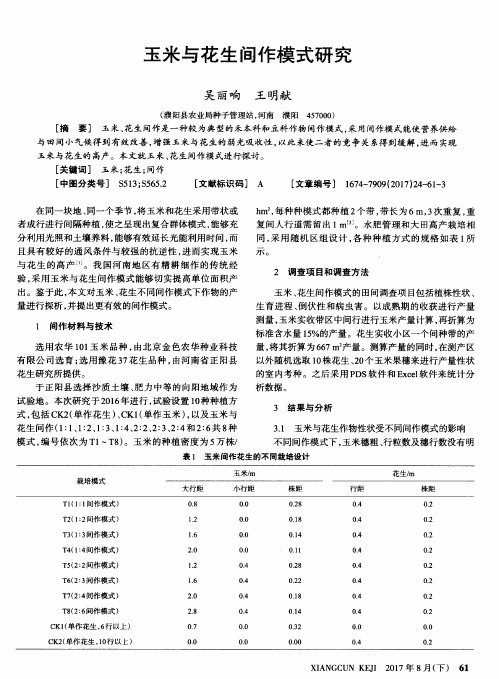 玉米与花生间作模式研究