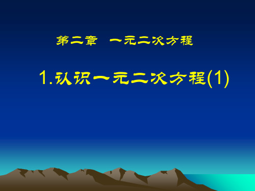 北师大版九年级数学上册《认识一元二次方程》优质课课件(共18张PPT)