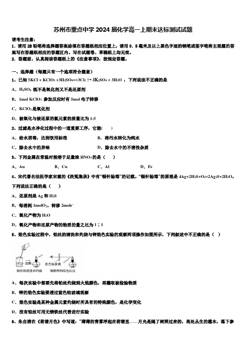 苏州市重点中学2024届化学高一上期末达标测试试题含解析