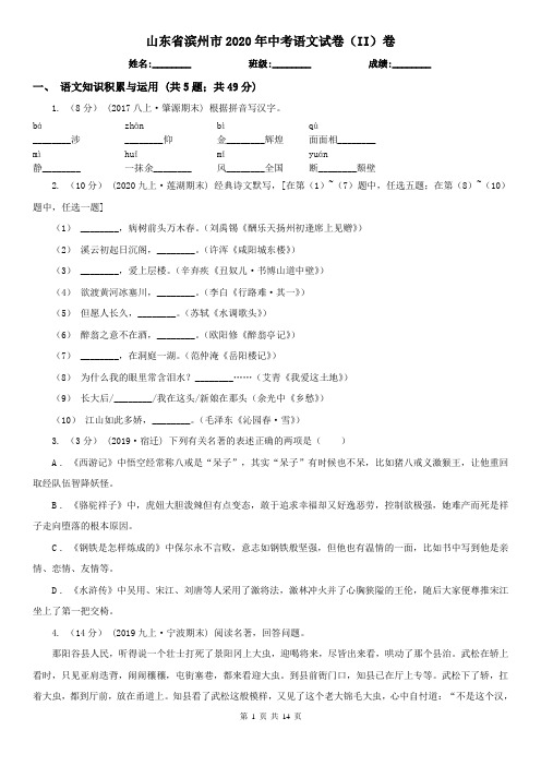 山东省滨州市2020年中考语文试卷(II)卷