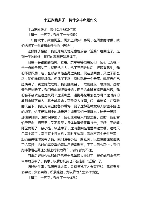 十五岁我多了一份什么半命题作文