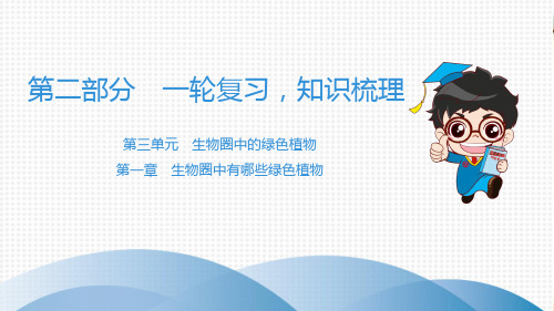 中考生物《生物圈中有哪些绿色植物》复习课件