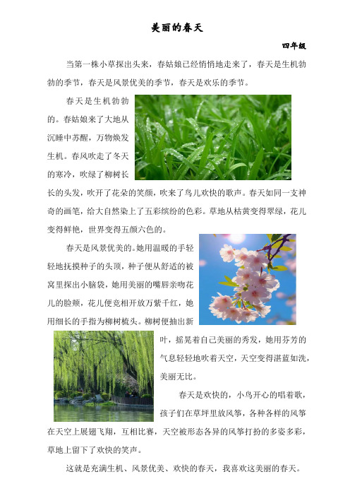 美丽的春天 四年级作文