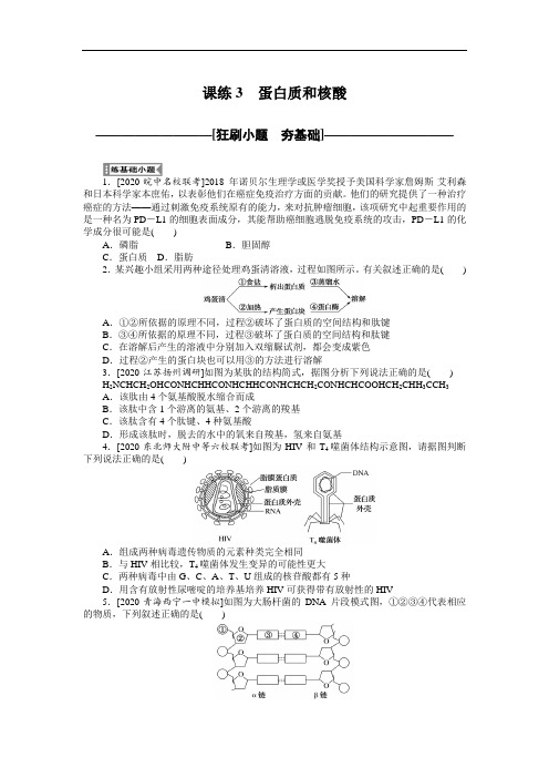 课练3 蛋白质和核酸--2021届高三一轮复习生物全程训练(统考版)