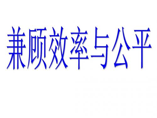 高一政治兼顾效益与公平