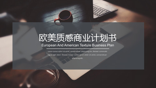 欧美质感的商业计划书ppt(内容完整可编辑)