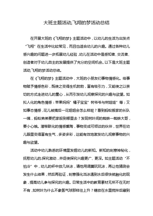 大班主题活动,飞翔的梦活动总结