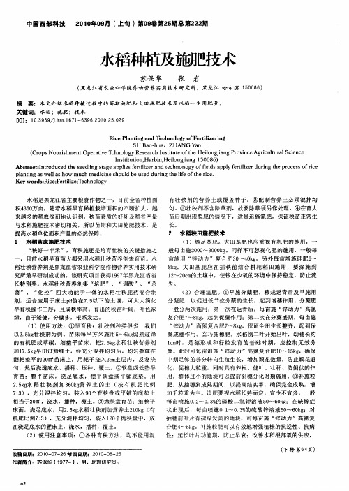 水稻种植及施肥技术