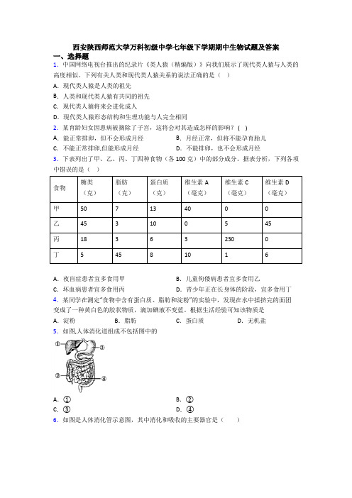 西安陕西师范大学万科初级中学七年级下学期期中生物试题及答案