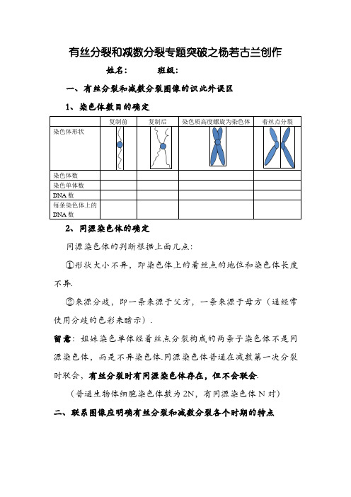 有丝分裂和减数分裂图解