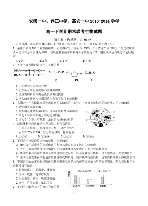 福建省安溪一中、养正中学、惠安一中2013-2014学年高一下学期期末联考生物试题