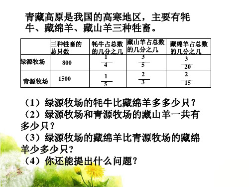 藏绵羊的只数_分数四则混合运算1