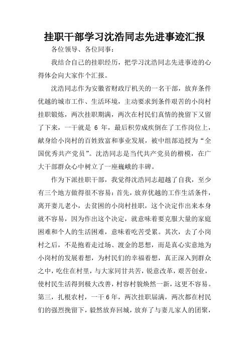 挂职干部学习沈浩同志先进事迹汇报