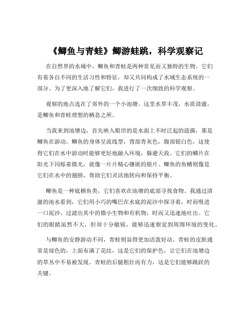 《鲫鱼与青蛙》鲫游蛙跳,科学观察记