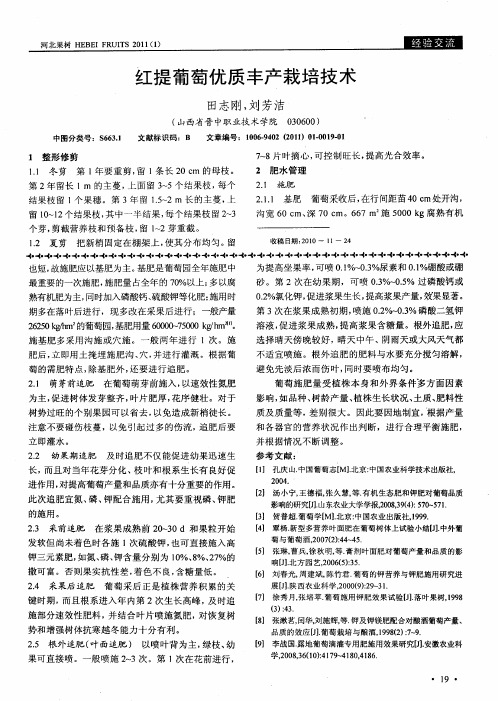 红提葡萄优质丰产栽培技术