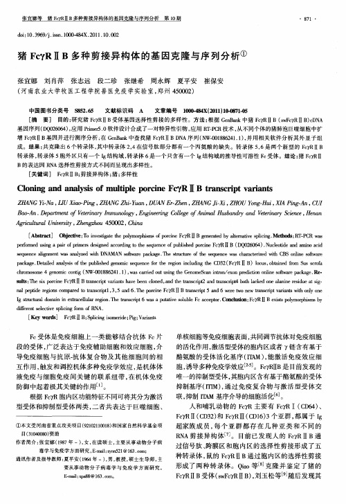 猪FcγR ⅡB多种剪接异构体的基因克隆与序列分析