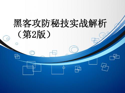 编程攻击与防御实例