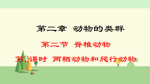 人教版生物 七年级上册      两栖动物和爬行动物