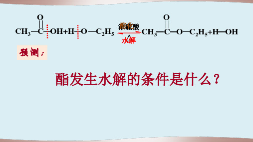 高中化学《8烃的衍生物8.4羧酸和酯酯》18沪科课标PPT课件