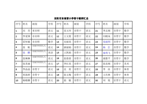 安阳东南营小学骨干教师汇总