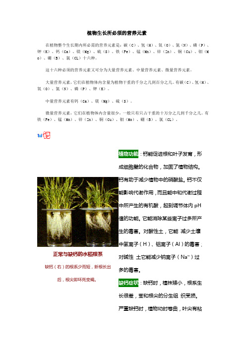 植物生长所必须的营养元素