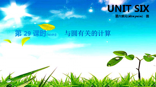 中考数学总复习 第六单元 圆 第29课时 与圆有关的计算数学课件