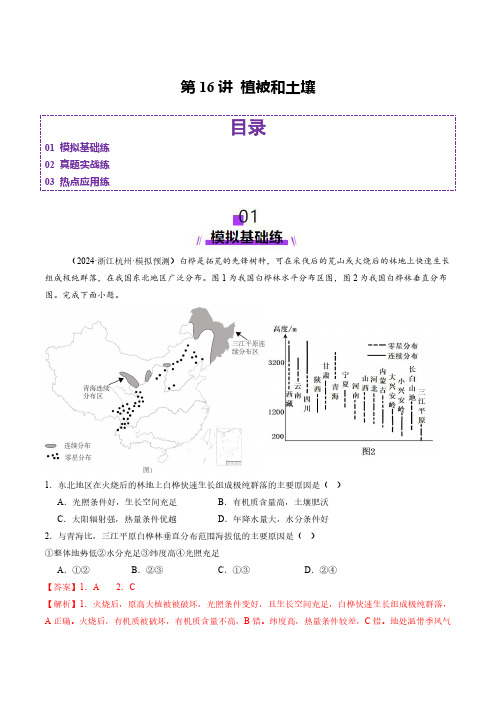 第16讲 植被和土壤(练习)(教师版) 2025年高考地理一轮复习讲练测(新教材新高考)