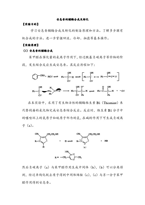 安息香的辅酶合成及转化