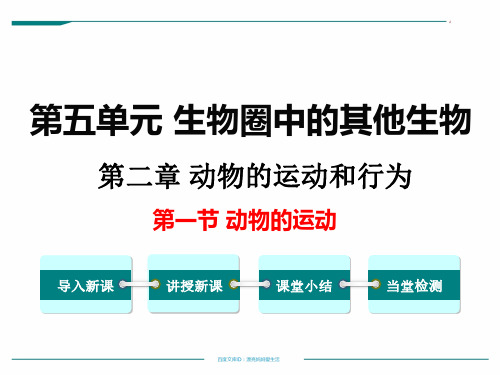 人教版初中二年级上册生物课件 生物圈中的其他生物 第二章 动物的运动和行为 5.2.1-动物的运动